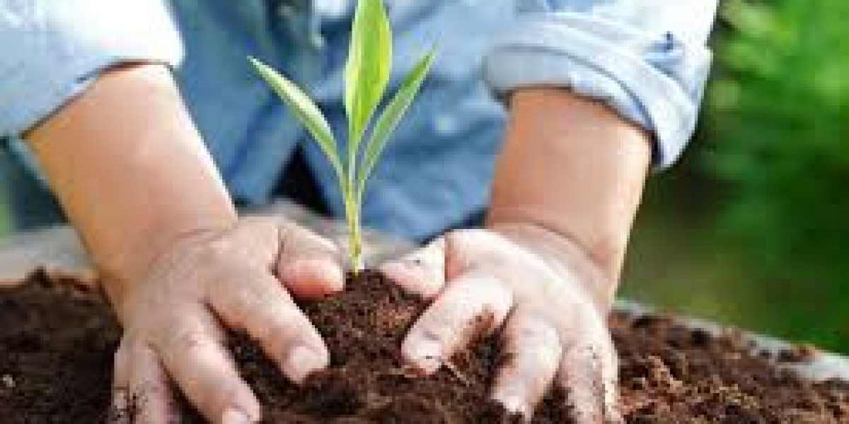 Eco-Influencers Leading the Green Movement